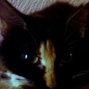 Meet your Posher, Mariza